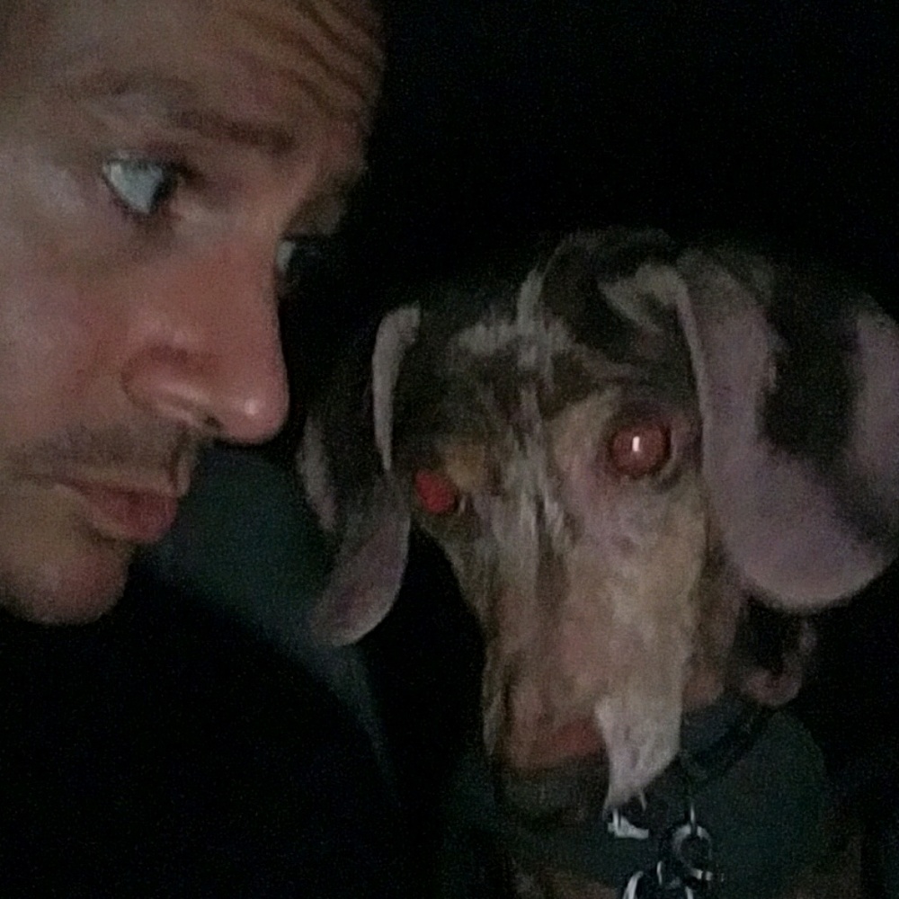 Meet your Posher, Ryan